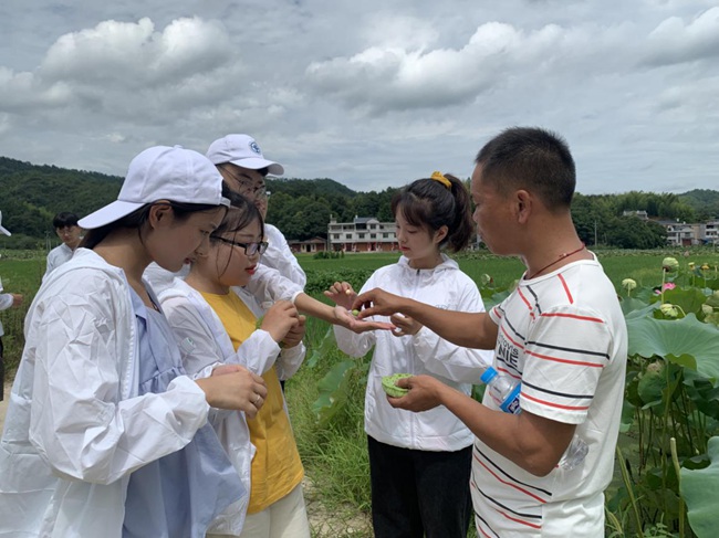 隊(duì)員參觀蓮子生產(chǎn)基地。福建船政交通職業(yè)學(xué)院供圖