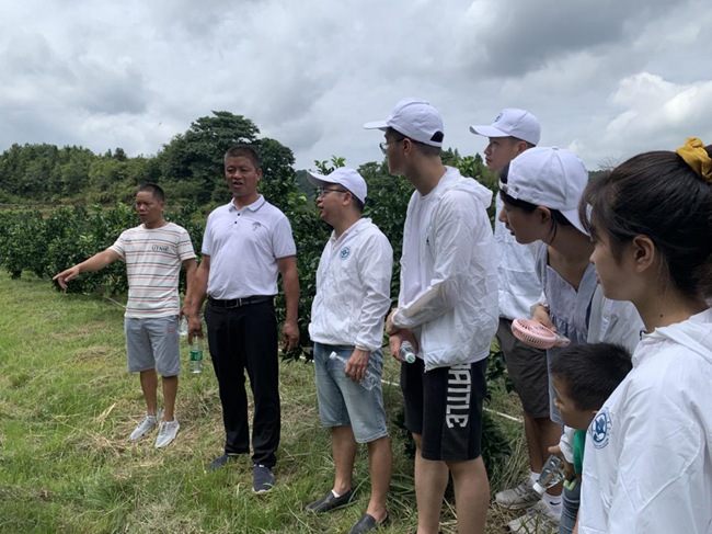 實(shí)踐隊(duì)在村主任伍玉炎帶領(lǐng)下參觀贛南臍橙種植園。福建船政交通職業(yè)學(xué)院供圖